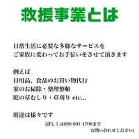 画像247