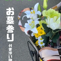 画像252