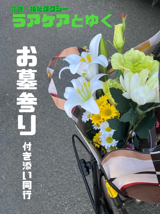 画像252