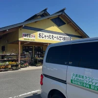 画像255