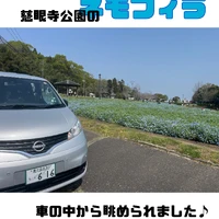 画像262