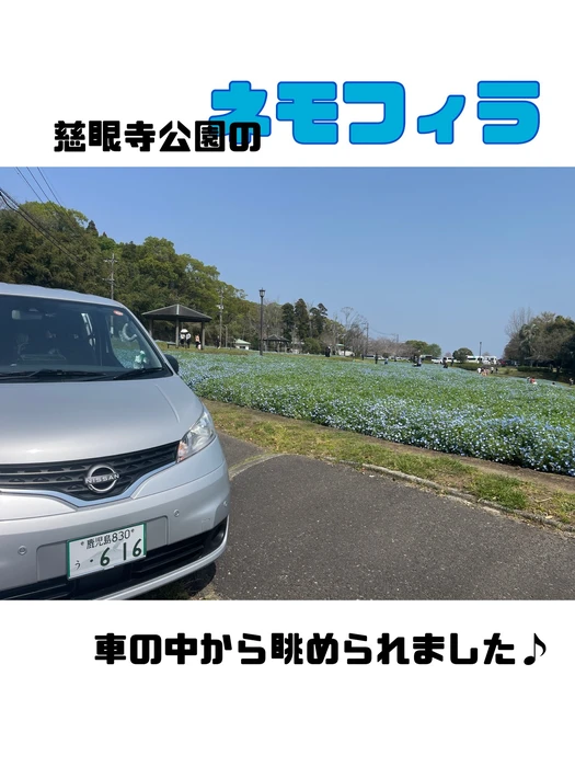 画像262