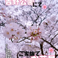 画像264
