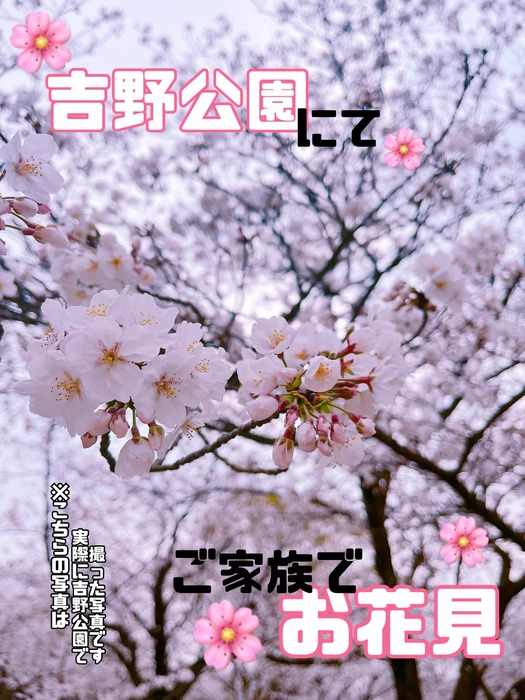 画像264